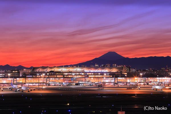 羽田空港 国内線 第1旅客ターミナル 展望デッキの夜景スポット情報