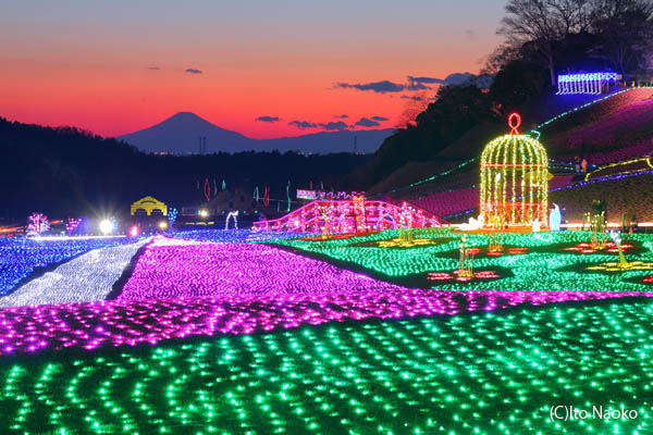 東京ドイツ村 イルミネーション 富士山